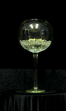 Fishbowl Varieties