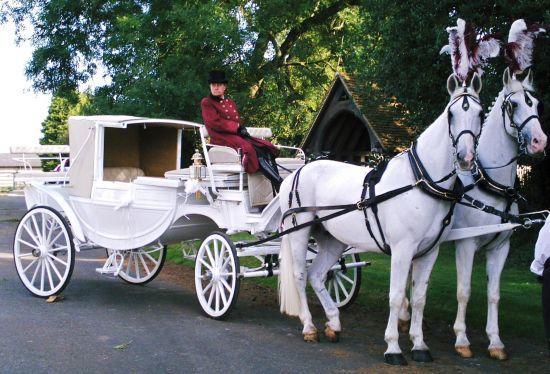 Horse & Carriage