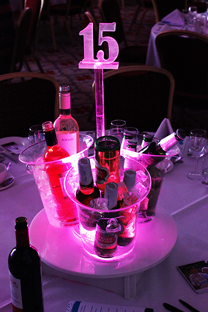Triple Ice Bucket