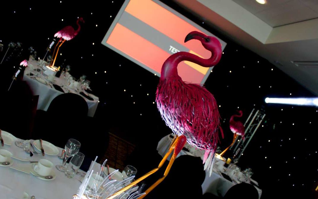 Flamingo New