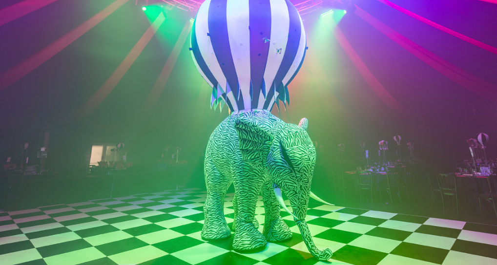 Dream circus elephant and balloon decoration