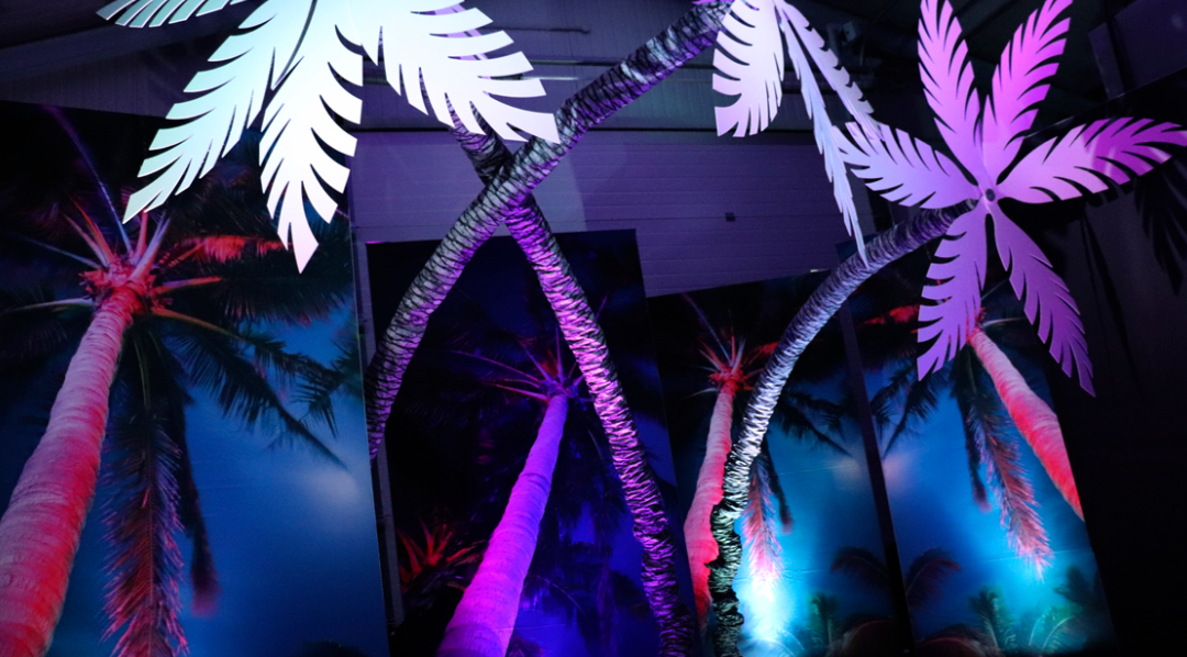 Palm Trees
