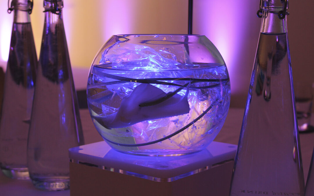 Fish Bowl | Lily
