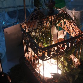 Birdcage