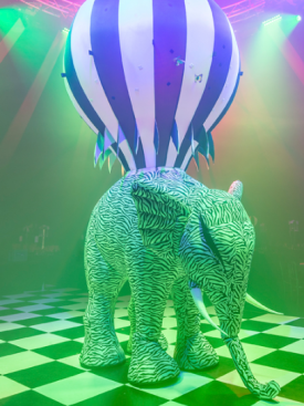 Circus Elephant