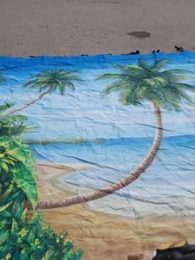Caribbean Backdrop